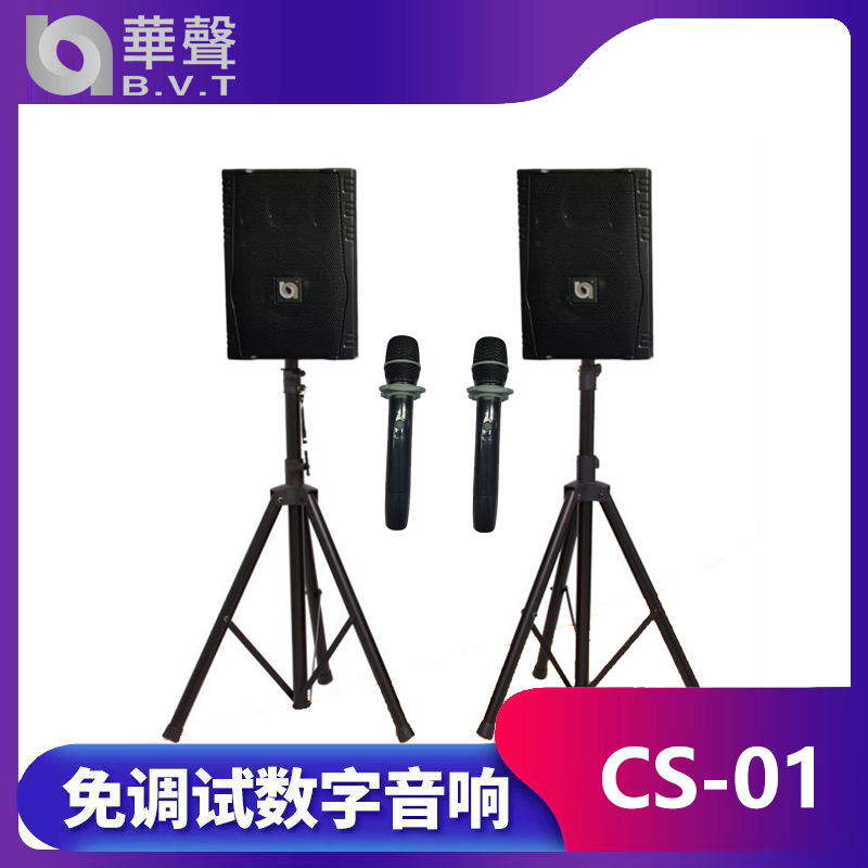 CS-01 免調試數字音響係統