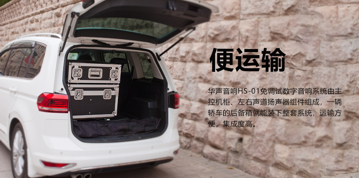 HS-01 免（miǎn）調試數字音響係統(圖8)