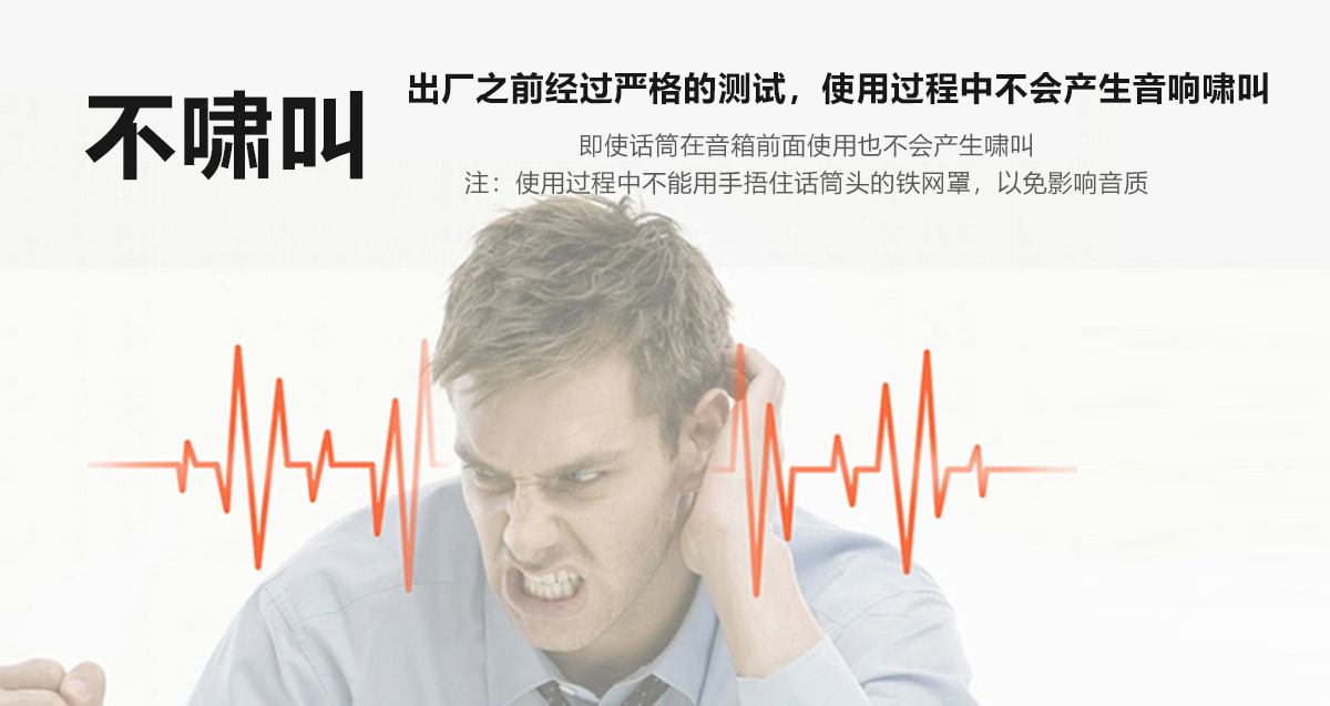HS-01A 免調試數字（zì）音響係統(圖5)